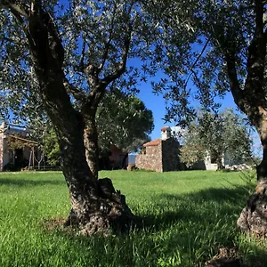 S'ulumu Dorgali